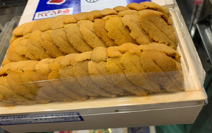 頂級紫海膽來囉!