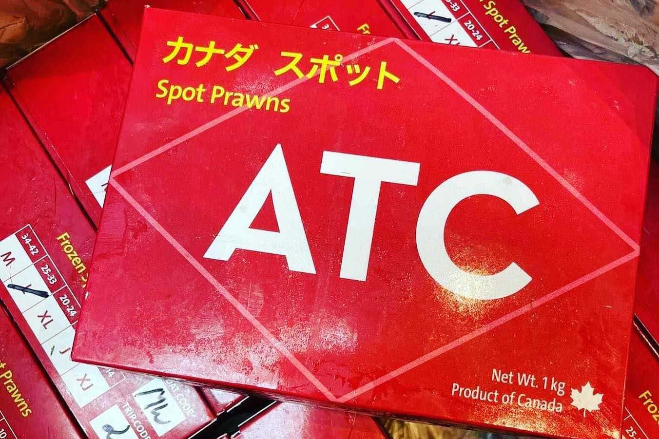 海老女王-牡丹蝦